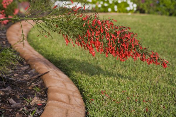Brick Edging in Willoughby
