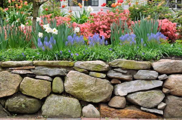 Garden Wall Installation in Willoughby