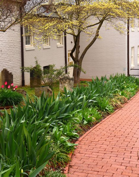 Brick Flatwork Repair in Willoughby